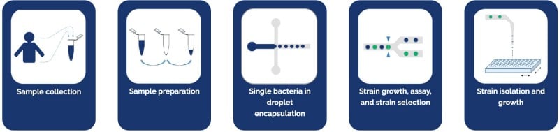 biomillenia microbiome lab-on-a-chip workflow