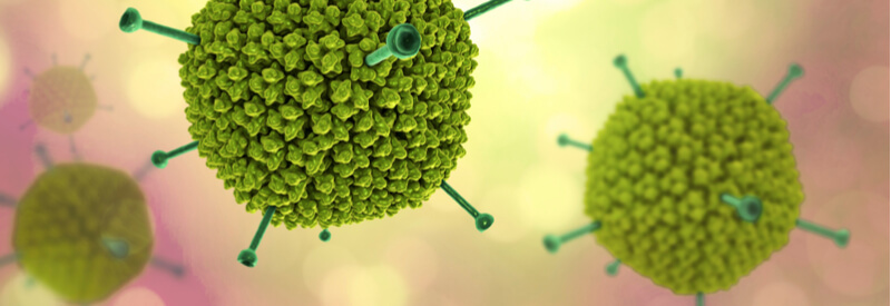 cell lines, cell line development, Cevec, glycosylation, vaccines, gene therapy vectors