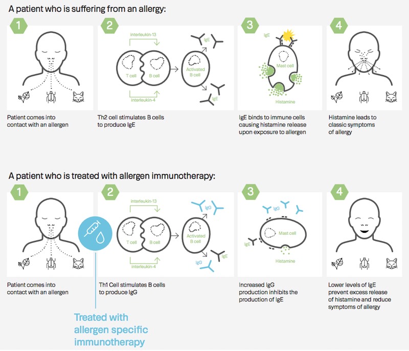 Allergy Therapeutics immunotherapy