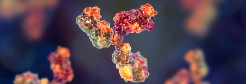 Immune System, Syngeneic Mouse Models, Cancer, Oncology, immunotherapies, immuno-oncology
