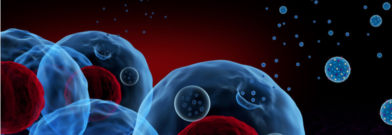 cell lines, cell line development, Cevec, glycosylation, vaccines, gene therapy vectors
