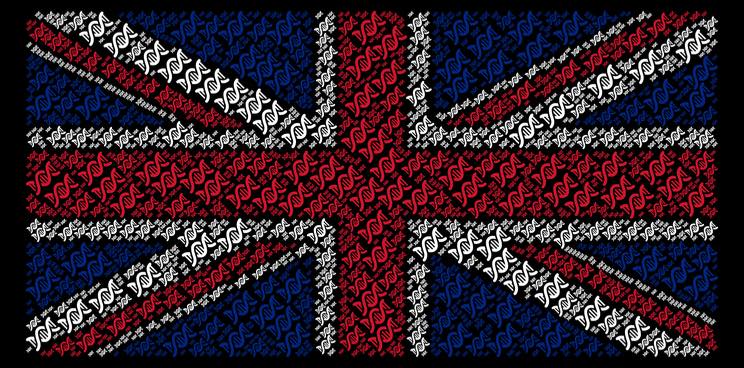 DNA union jack