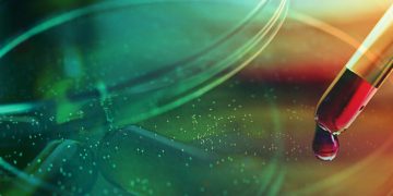 cell lines, cell line development, Cevec, glycosylation, vaccines, gene therapy vectors