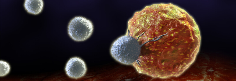Immune System, Syngeneic Mouse Models, Cancer, Oncology, immunotherapies, immuno-oncology