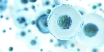 SNIPR biome microbiome story - Bacterial cell