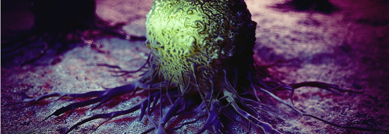Immune System, Syngeneic Mouse Models, Cancer, Oncology, immunotherapies, immuno-oncology