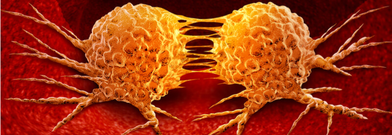 Immune System, Syngeneic Mouse Models, Cancer, Oncology, immunotherapies, immuno-oncology