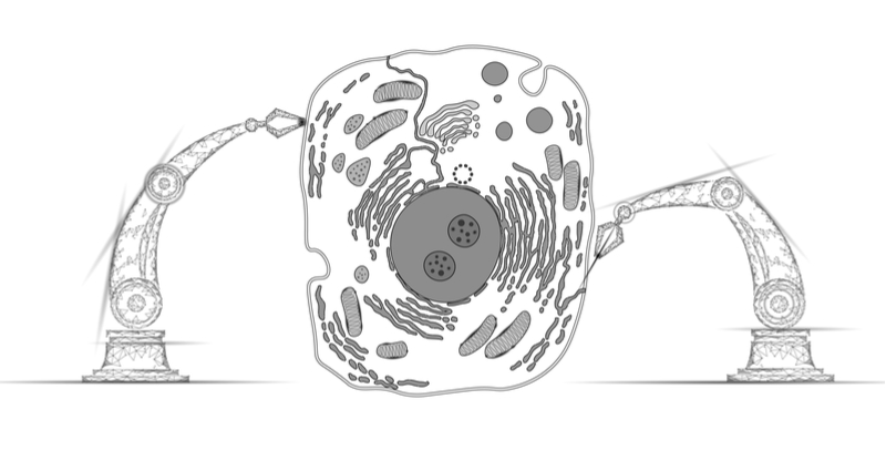 microsoft synthace oxford biomedica gene therapy cell therapy sketch