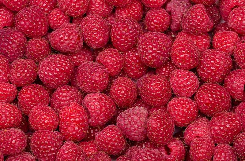 natural flavors biotech industry raspberry