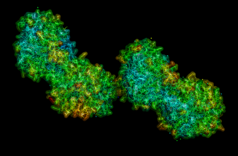 Extremophiles: The SsoPox enzyme, isolated from the extremophile Sulfolobus solfataricus