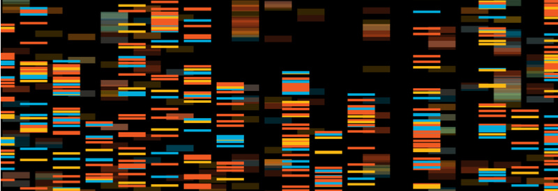 Genotyping, outsourcing genotyping, automatic genotyping, laboratory, genomic data, Transnetyx