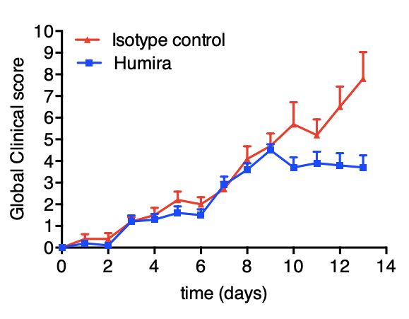 Inflammatory Bowel Disease, IBD, inflammation, mouse model, TransCure bioServices, IBD treatment