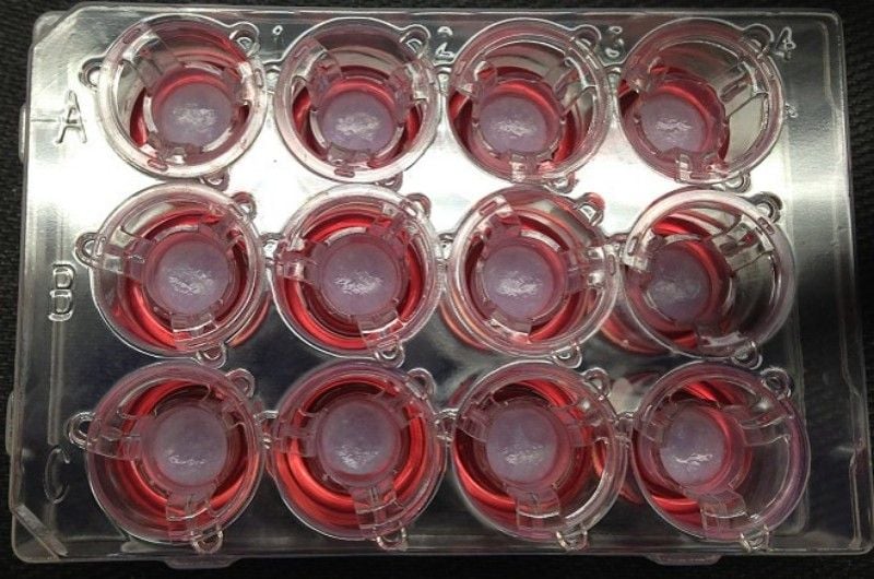 bioprinted tissue