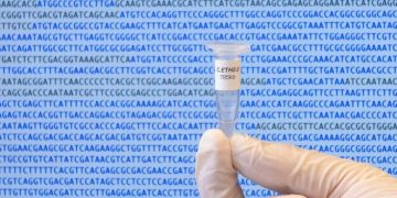 synbio synthetic biology genome artificial C eth2.0 bacteria (1)