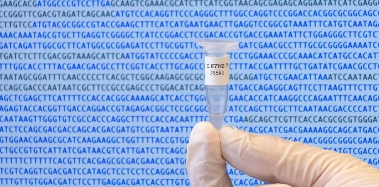 synbio genome artificial C eth2.0 bacteria 1