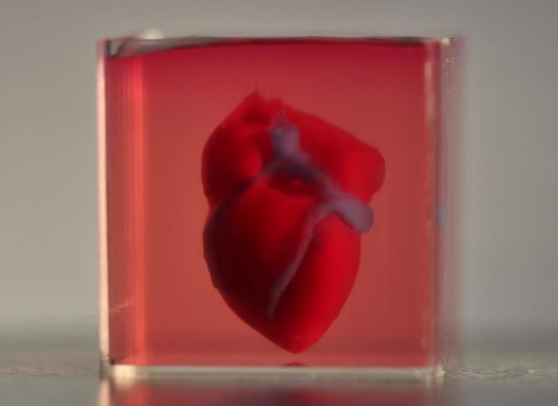 tissue 3d printing heart advanced science