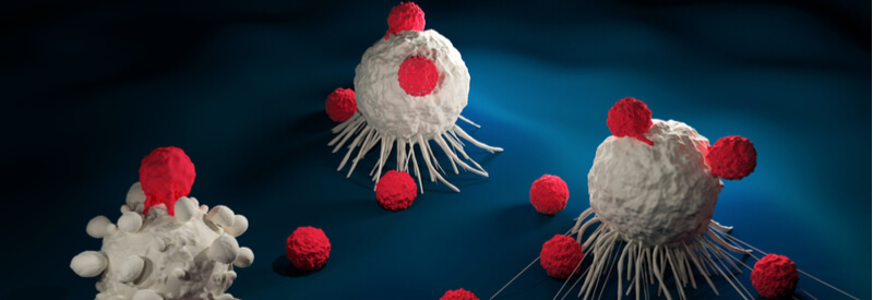minicircle DNA, CAR-T therapy, cancer treatment, plasmid, vector