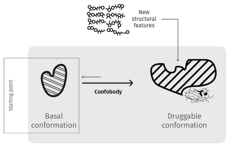 Confo Therapeutics GPCR drug discovery