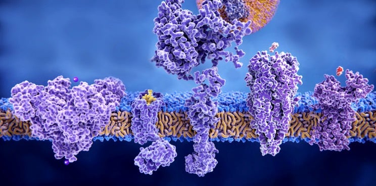 Confo Therapeutics GPCR