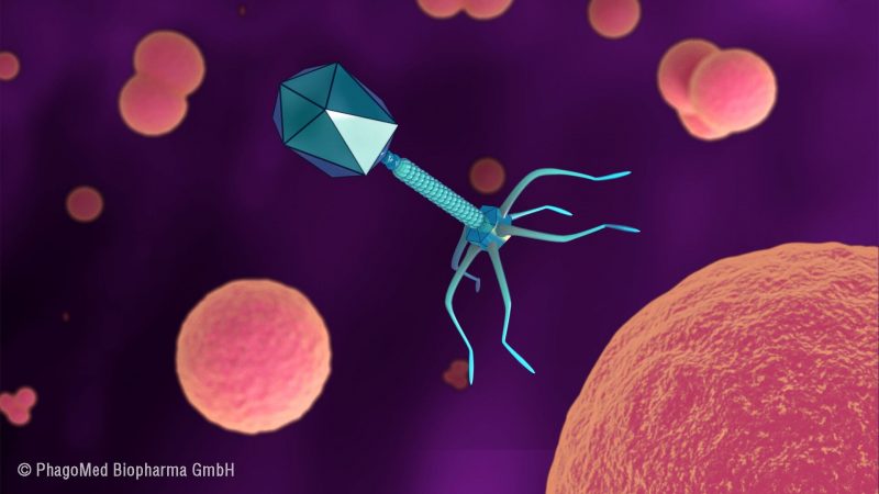 Viruses article - A bacteriophage virus seeking out its bacterial target