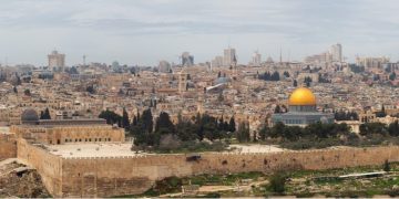 jerusalem eggxyt genetic engineering