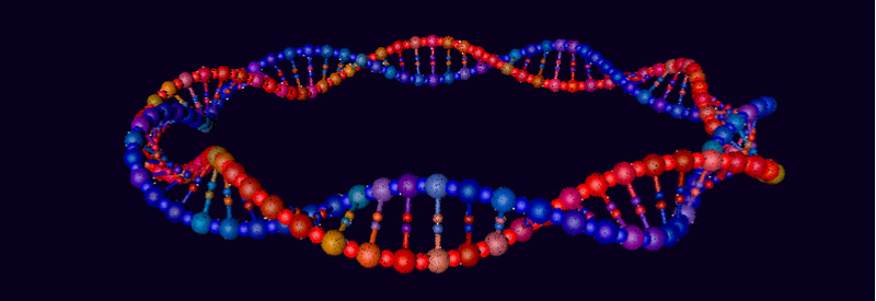 minicircle DNA, CAR-T therapy, cancer treatment, plasmid, vector