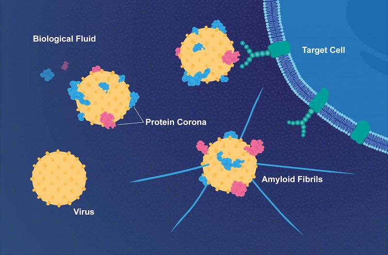 viruses alzheimer's disease hiv