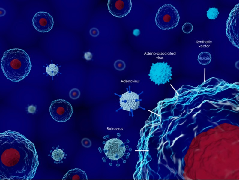 Gene therapy feature - viral vectors