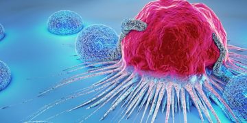 CrownBio, tumor, tumor cells