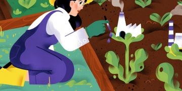 bioeconomy bio-based europe