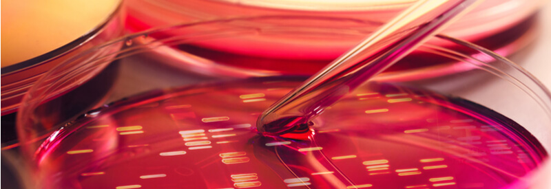 mini-pool approach, Merck, laboratory work, cell line development, clone selection