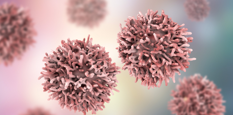 head and neck cancer organoids hubrecht