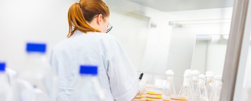 mini-pool approach, Merck, laboratory work, cell line development, clone selection, preclinical phase