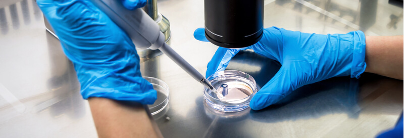 mini-pool approach, Merck, laboratory work, cell line development, clone selection