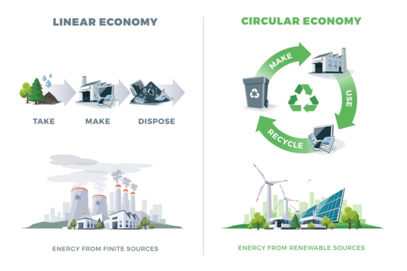 sustainability bioeconomy bio-based circular economy