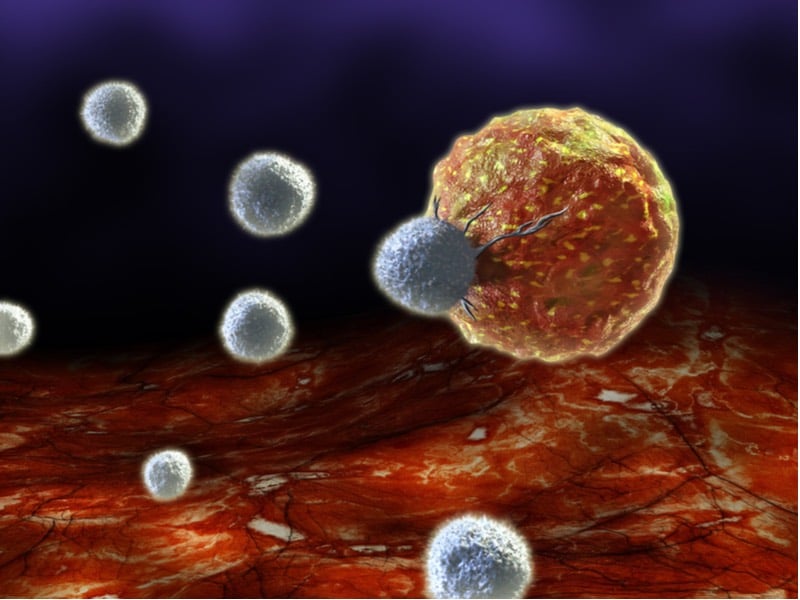 t cell car-t immunotherapy celgene immatics