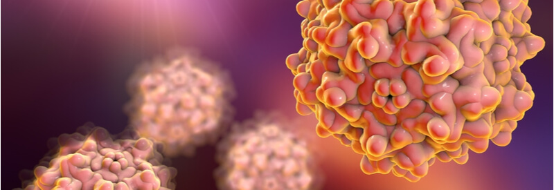 adeno-associated virus, viral vectors, immunotherapy