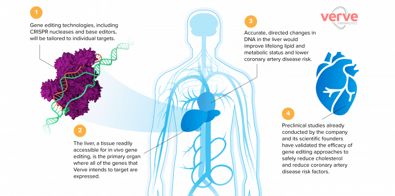 Finding Customers With causes of thrombosis and blood thrombosis Part B