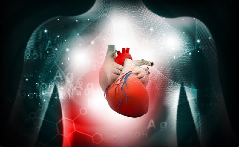 Cardiovascular disease feature - heart