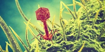 bayer bacteriophage ecophage agriculture
