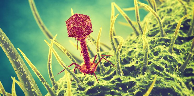 bayer bacteriophage ecophage agriculture