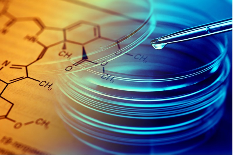 graphene bacteria rochester delft university netherlands