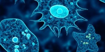 Amoeba biocide