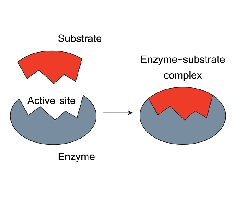 enzyme pharem biotech sweden water pollution solution