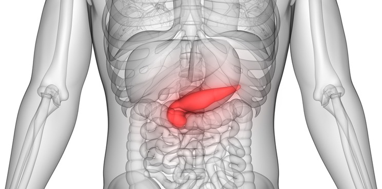 imcyse type 1 diabetes insulin immunotherapy