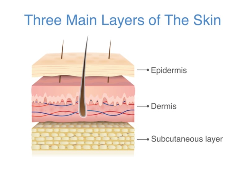 mallinckrodt regenerative medicine skin graft bioprinting