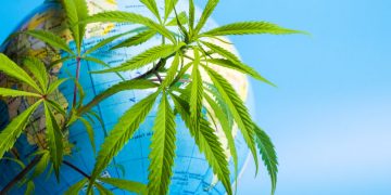 worldwide cannabis, medical cannabis, biotech news