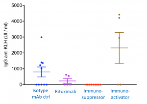 KLH immunization, antibody production, immunoglobulins, TransCure bioServices