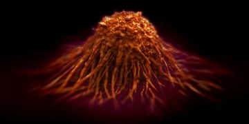 ionctura merck cancer