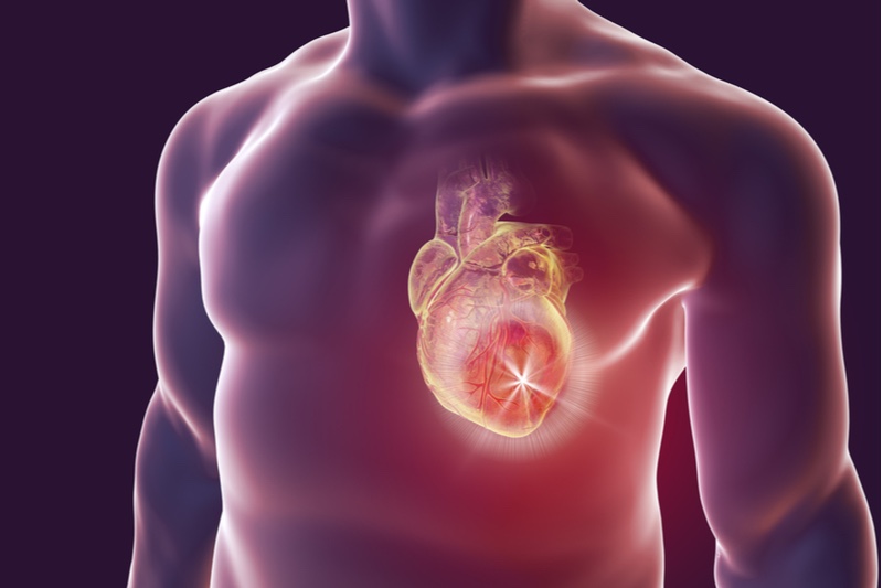 cardiology cardiovascular disease heart attacks